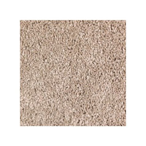 The Best Carpet for Pets of 2022 - Top Picks by Bob Vila Best Carpet For Pets, Textured Carpet, Shaw Floors, Bob Vila, Hallway Carpet, Types Of Carpet, Beige Carpet, Pet Odors, Wall Carpet