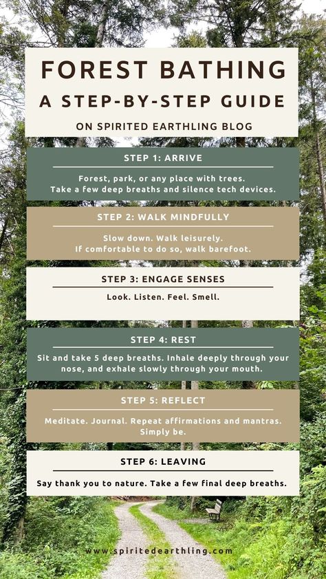 A 6 step step-by-step guide to forest bathing. Connect to nature, even when living in a city. The Healing Power of Forest Bathing for Spiritual Growth and Well-Being on Spirited Earthling Blog. Nature, Small Garden Waterfalls, Connect To Nature, Healing Retreats, Nature Meditation, Backyard Sanctuary, Nature School, Muscle Soreness, Forest Bathing