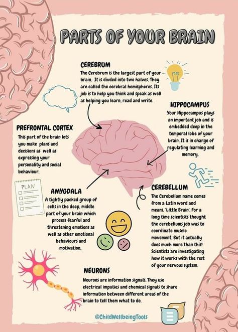 Psychology Revision, Intro To Psychology, Psychology A Level, Dream Psychology, Learning Psychology, Ap Psych, Ap Psychology, Psychology Notes, Psychology Careers