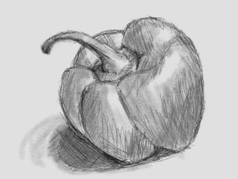 Shading of a pepper Croquis, Bell Pepper Drawing, Pepper Drawing, Colored Pencil Drawing Techniques, Fruit Sketch, Natural Form Art, Buddha Art Drawing, Fruits Drawing, Pencil Sketch Images
