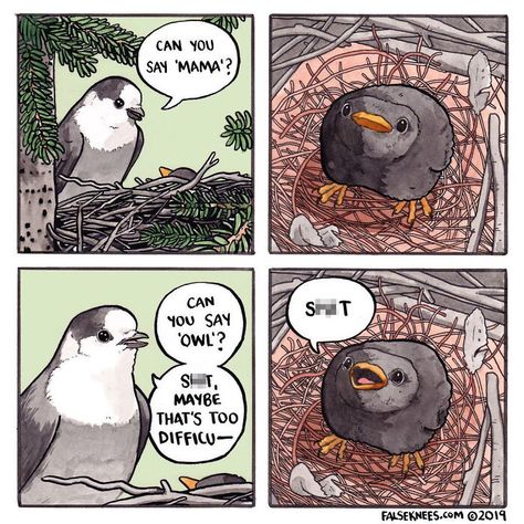 Funny Animal Comics, Clean Funny Memes, Clean Memes, Cute Comics, Image Macro, Comic Artist, Art Graphique, Bored Panda, Funny Comics