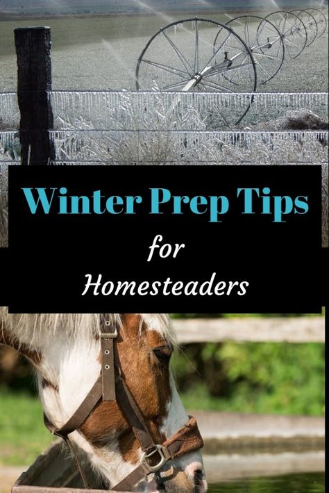 Winter will soon be here. Are you prepared. As the season changes here are a few tips to help make the transition a little simpler. #Homesteading #winter #winterizing #winterpreparations #preparingforwinter Homesteading Life, Homestead Gardening, Homesteading Animals, Homesteading Tips, Farm Books, Goat Care, Homesteading Ideas, Raising Goats, Homestead Chickens