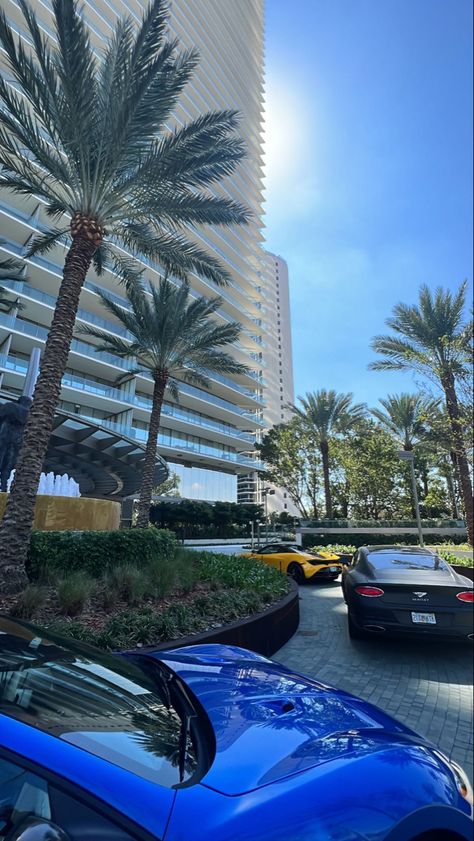 Rich Florida Aesthetic, Miami Suburbs, Rich Miami Aesthetic, Fountain Blue Miami, Miami Vibes Aesthetic, Miami Astethic, Miami Instagram Pictures, Miami Morning, Miami Beach Aesthetic