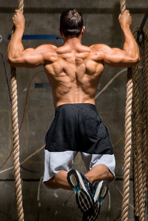 Back Muscle Reference, Man Back Muscles, Muscular Back Male, Back Reference Photo, Back Physique, Back Workout Program, Back Workout For Mass, Workout Pose, Big Back Workout