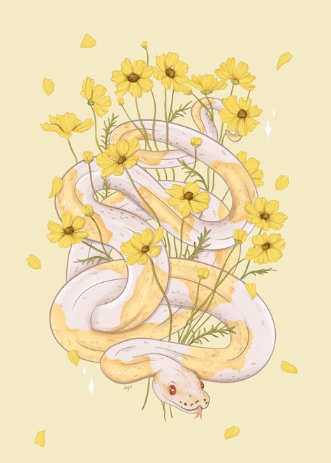 Snakes, Python, Cosmos, Yellow, Reptiles, Pied Ball Python, Yellow Cosmos, Ball Python, I Love