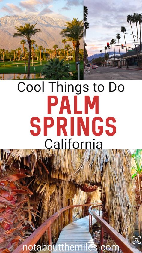 Palm Springs Hiking, Desert Getaway, Palm Springs Outfit, Palm Canyon, Palm Desert California, Cool Things To Do, Desert Travel, Palm Spring, California Desert