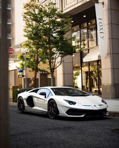 Lamborghini Aventador Super Veloce Jota painted in Balloon White  Photo taken by: @enzof40f50 on Instagram Lamborghini Aventador Svj White, Lamborghini Aventador White, White Lamborghini Aventador, Lamborghini White, Lamborghini Photos, White Lamborghini, Cool Truck Accessories, Sports Cars Lamborghini, Aventador Svj