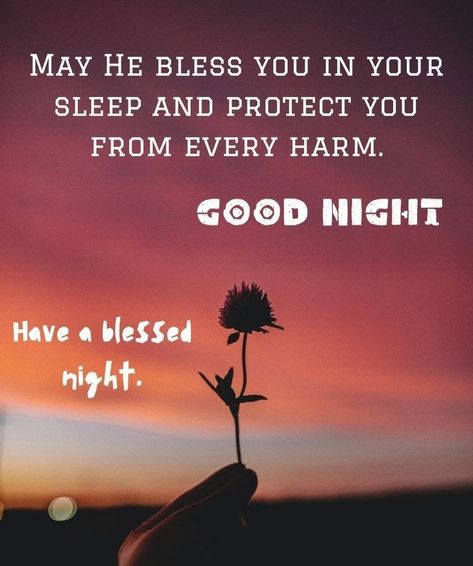 Goodnight Blessings, Good Night Blessings Quotes, Good Night Images Cute, Have A Blessed Night, Prayer Message, Night Love Quotes, Good Night Love Quotes, Good Morning Happy Sunday, Good Night Prayer