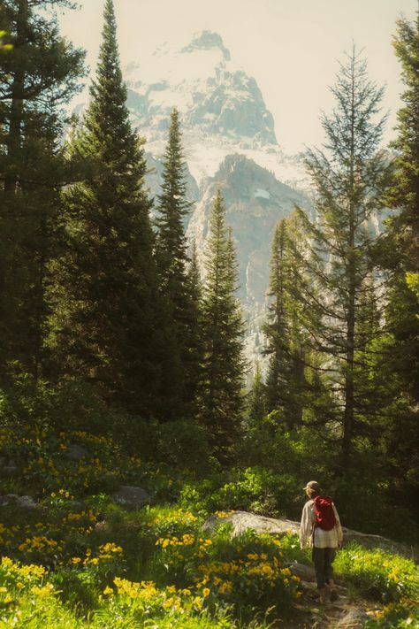 Hiking Mountains Aesthetic, Hiking In Mountains Aesthetic, Travel Mountains Aesthetic, Nature Granola Aesthetic, Backcountry Aesthetic, Outdoor Photography Aesthetic, Camping Nature Aesthetic, Hiking In The Mountains Aesthetic, Granola Nature Aesthetic