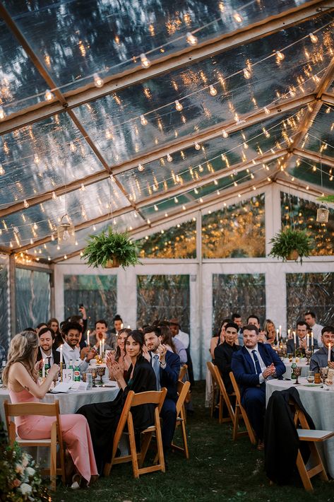 Backyard Cleartop Tent Wedding