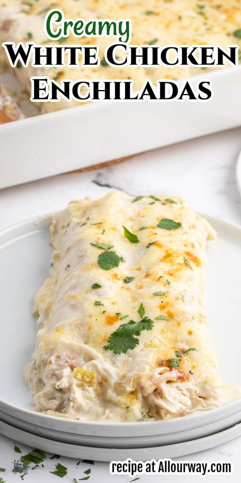 White Chicken Enchilada Recipe, Creamy White Chicken Enchiladas, Creamy Chicken Enchiladas Recipe, Recipe With Cilantro, Cilantro Recipes, White Chicken Enchiladas, Creamy Chicken Enchiladas, Enchilada Recipe, Chicken Healthy