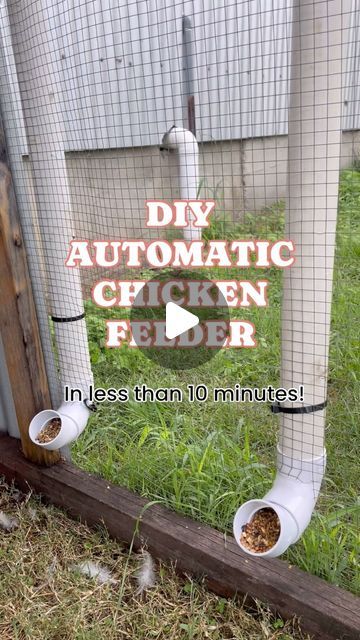 Permaculture, Pvc Pipe Chicken Feeder, Diy Automatic Chicken Feeder, Automatic Chicken Feeder Diy, Fancy Chicken Coop, Pvc Chicken Feeder, Gravity Feeder, Automatic Chicken Feeder, Chicken Feeder Diy