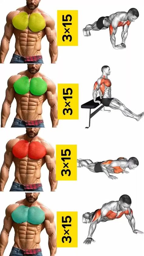 Perut Six Pack, Gym Workout Apps, Chest Workout Routine, Latihan Dada, Gym Workout Guide, Workout Program Gym, Trening Sztuk Walki, Best Gym Workout, Bodybuilding Workouts Routines