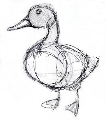 duck Art Du Croquis, Duck Drawing, Duck Art, Animal Drawings Sketches, Arte Inspo, Arte Sketchbook, Pencil Art Drawings, Animal Sketches, Bird Drawings