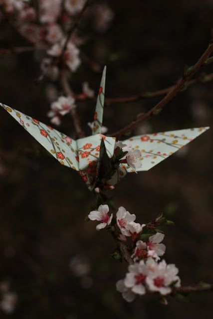 Kalluto Zoldyck, Origami Tutorial Easy, Origami Artist, Memoirs Of A Geisha, Origami 3d, Japan Aesthetic, Origami Crane, Paper Crane, Japanese Aesthetic