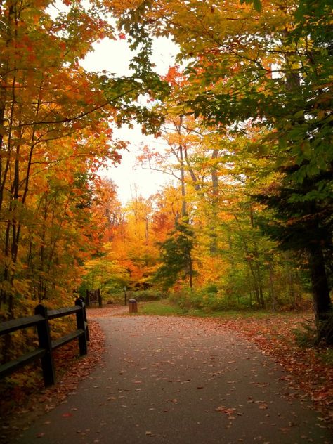 This was taken near the Tahquamenon Falls in Michigan’s Upper Peninsula… Michigan Upper Peninsula, Fall In Michigan, Michigan Nature, Michigan Fall, Tahquamenon Falls, Upper Peninsula Michigan, Fall Road Trip, Michigan Vacations, Beautiful Earth