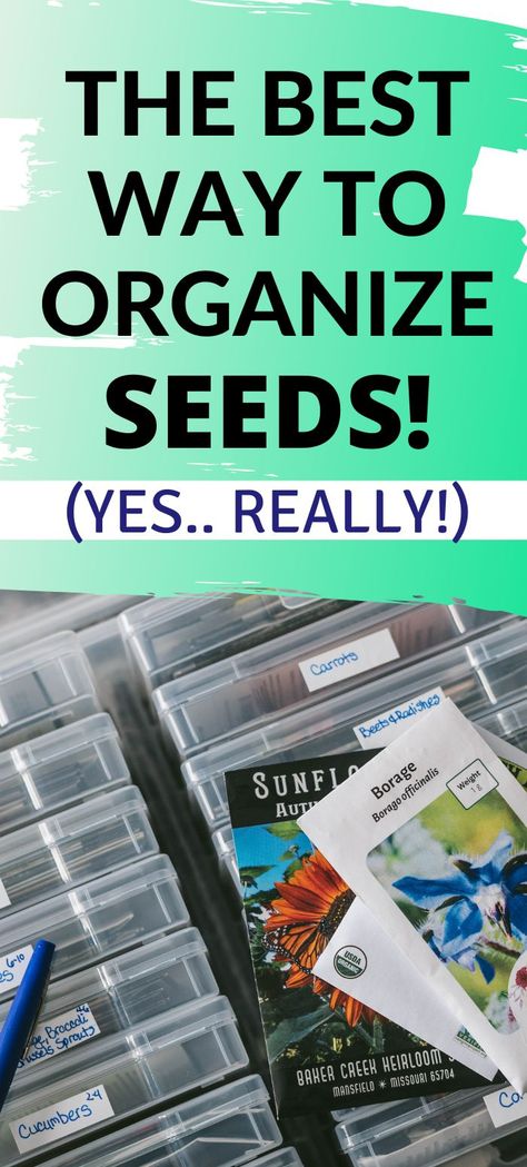 Looking for a garden seed organizer to fit all of your stash? This is one of the best garden ideas you'll ever find for storing your vegetable and flower seeds. Inexpensive, super simple, and quick this diy seed box is the best of the best to put all of your plant seeds in so you're not buying too many or forgetting to purchase more! Seed Organizer, How To Store Seeds, Organize Seeds, Different Types Of Seeds, Front Porch Flowers, Bean Varieties, Seed Storage, Borago Officinalis, Seed Box