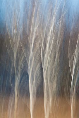 Kathleen Clemons Photography, Abstract Landscape Photography, Abstract Nature Photography, Impressionism Photography, Impressionist Photography, Fine Art Photography Nature, Symmetry Photography, Movement Photography, Best Landscape Photography