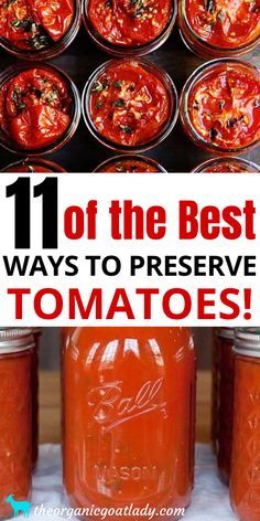 How To Preserve Tomatoes Canning Recipes, Tomato Storage Ideas, Canning Tomato Recipes Ideas, Dehydrated Tomatoes Recipes, Tomato Canning Ideas, Canning Tomato Recipes, Tomatoes Canning Recipes, How To Preserve Tomatoes, Tomato Canning