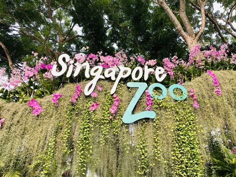 Zoo Design, Singapore Zoo, Catchment Area, Travel Experience, Trip Advisor, Singapore, Bucket List, The Top, Wonder