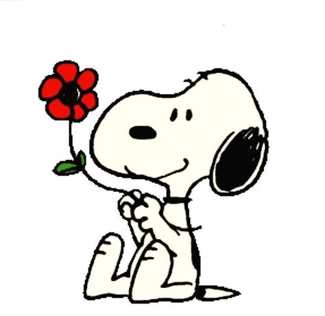 Snoopy Drawing, Snoopy Tattoo, Snoopy Cartoon, Cartoon Character Tattoos, Snoopy Images, Snoopy Wallpaper, Snoopy Pictures, Snoop Dog, Snoopy Love