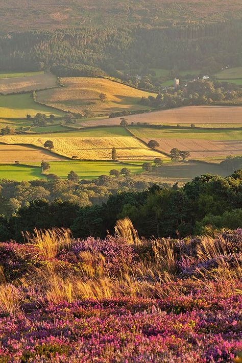 Late Afternoon Sun On Luccombe Church, Somerset, England British Countryside Wallpaper, Natur Wallpaper, Rural England, England Countryside, Somerset England, Afternoon Sun, British Countryside, Late Afternoon, English Countryside