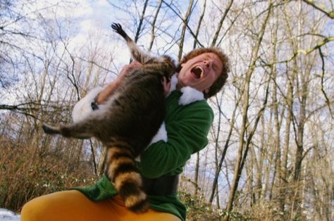 Buddy the elf getting attacked by a raccoon Elf Widget, Elf 2003, Elf Quotes, Watch Wallpapers, Elf Characters, Elf Movie, Cute Christmas Wallpaper, Will Ferrell, Buddy The Elf