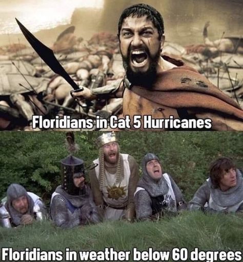 23 Freakishly Funny Florida Memes & Headlines - Memebase - Funny Memes Humour, Florida Funny, Weather Memes, Funny Weather, Memes Of The Day, Fresh Memes, Cute Memes, Komik Internet Fenomenleri, Popular Memes