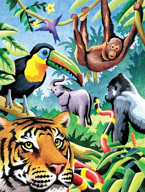 Jungle Drawing, Zoo Crafts, Jungle Painting, Animals Drawings, Jungle Scene, Kids Zoo, Jungle Illustration, Jungle Art, Colour Pencil