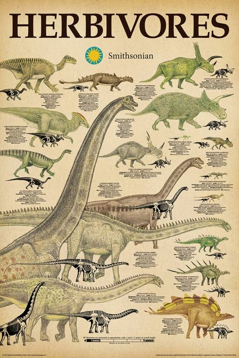 PRICES MAY VARY. Title: Buyartforless Smithsonian Herbivores Dinosaurs 36x24 Educational Art Print Poster, Multicolored. Product Type: Categories > Wall Art > Posters & Prints Canvas Paintings, Dinosaur Poster, Collage Des Photos, Dinosaur Posters, Movie Poster Wall, Dinosaur Art, Art Licensing, Art Print Poster, Affordable Wall Art