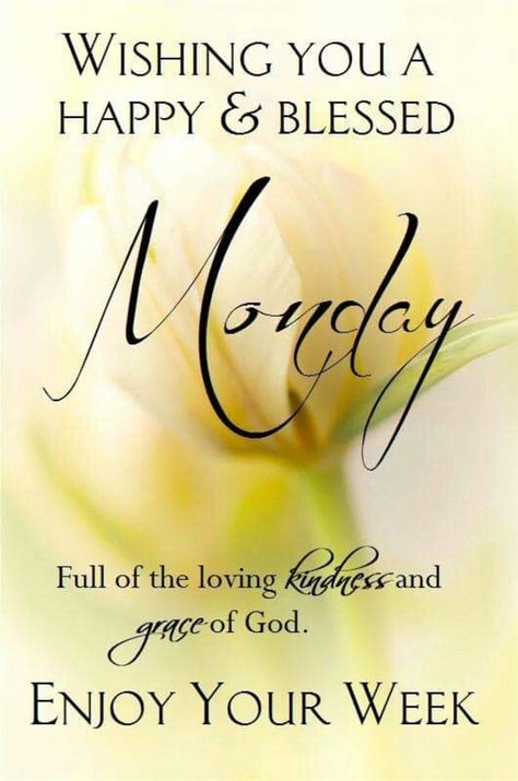 20 Monday Morning Quotes & Blessings quotes monday good morning monday… Monday Morning Images, Monday Morning Blessing, Monday Wishes, Good Morning For Him, Romantic Good Morning Messages, Happy Monday Quotes, Today Is Monday, Monday Images, Good Morning Monday