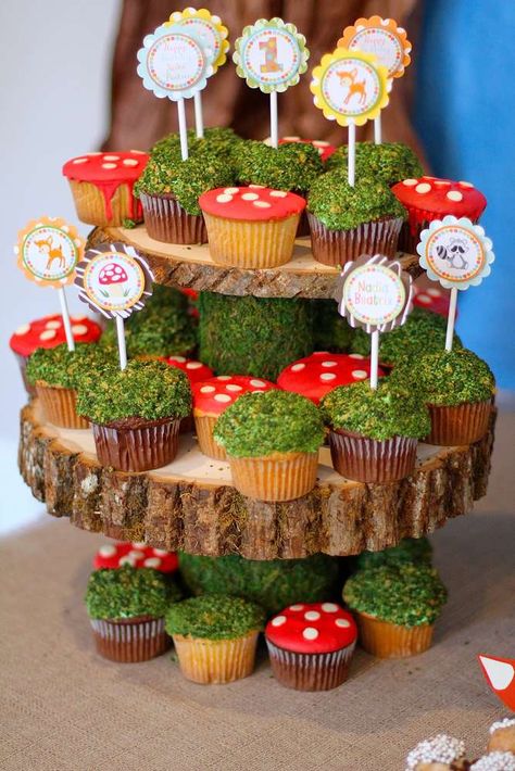 Rustic cupcakes at a woodland forest birthday party! See more party planning ideas at CatchMyParty.com! Birthday, Rustic Cupcakes, Forest Birthday Party, Forest Birthday, Woodland Forest, Party Planning, See More, Forest, Birthday Party