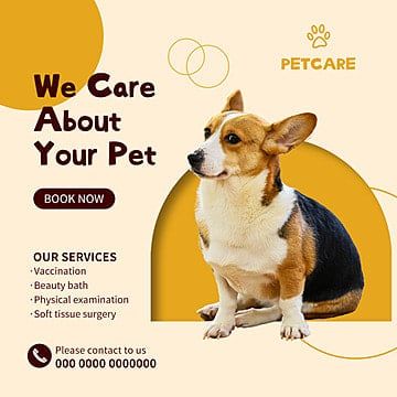 pet,pet shop,nursing,care,service,dog,pet service,pet sitting,animals,services,banner,poster,animal,background,illustration,cute,art,graphic,symbol,domestic,happy,puppy,design,funny,vector,cartoon,canine,isolated,breed,mammal,drawing,character,nature,sign,white,brown,icon,friend,fun,purebred,flat,smile,card,element,love,wallpaper,small,orange,corgi,lovely,head,portrait,child,logo,welsh,modern,friendly,red,concept Pet Shop Poster Design, Dog Company Branding, Mammal Drawing, Pet Shop Logo Design, Pet Shop Logo, Pet Branding, Brown Icon, Cafe Posters, Poster Animal