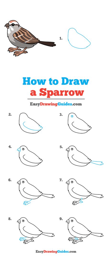 Drawing Sparrow Birds, How To Draw A Sparrow Step By Step, Easy Sparrow Drawing, Sparrow Art Bird, Birds Drawing Tutorial, Pictures Of Birds To Draw, How To Draw A Sparrow, How To Draw Sparrow, Draw Birds Easy Step By Step