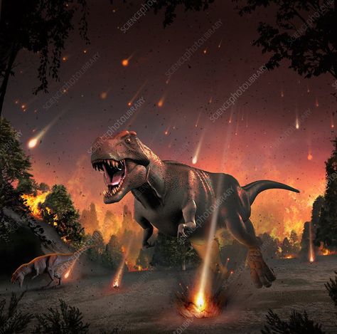 Artwork of tyrannosaurs fleeing a hail of impact ejecta. Some 65 million years ago, the impact of an asteroid or comet with the Earth provoked one of prehistory's greatest mass-extinctions, when it wiped out the dinosaurs and many other species. The impact occurred in a shallow sea, off the coast of what is now Mexico, caving out a magma-filled wound some 180 kilometres across. Ejecta was thrown high into the atmosphere. The dust remained there for years, blocking out the Sun's life-giving rays. Dinosaurs Extinction, Dinosaur Background, Jurrasic Park, Prehistoric World, Science Photos, Jurassic Park World, Dinosaur Art, Prehistoric Animals, Sea Monsters