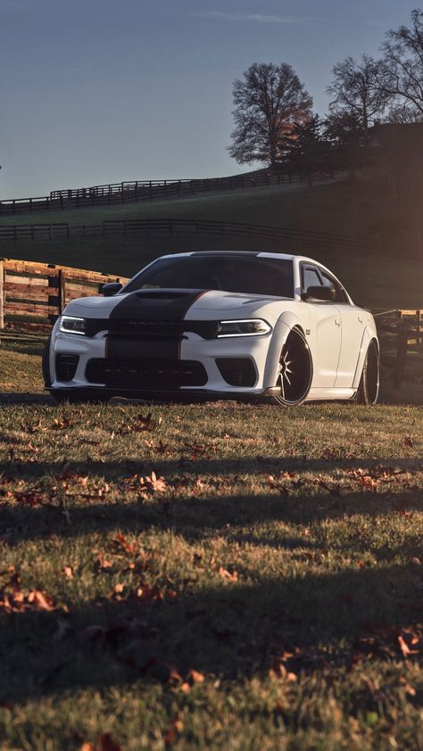 Hellcat Srt Wallpaper, Charger Srt Hellcat Wallpaper, Dodge Charger Hellcat Wallpapers, Hellcat Charger, Disney Cars Wallpaper, Dodge Charger Srt Hellcat, Dodge Charger Hellcat, Car Display, Charger Srt Hellcat