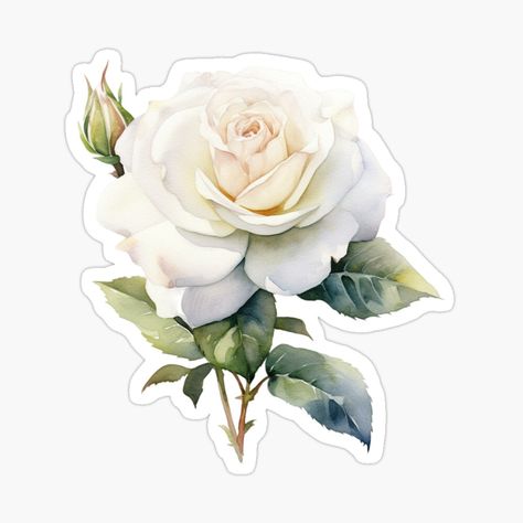 Floral Stickers Vintage Flowers, Flowers Aesthetic Stickers, Flower Stickers Aesthetic, Flower Aesthetic Drawing, White Flower Sticker, Rosas Aesthetic, Flowers Stickers, Rose Sticker, Rosé Summer