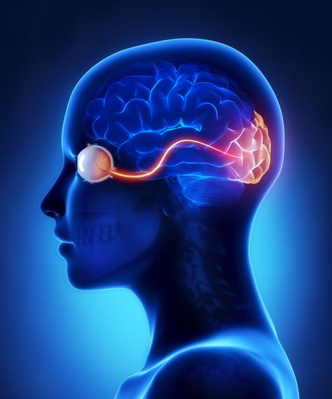 Cortical Vision Impairment, Cortical Visual Impairment, Eye Anatomy, Optic Nerve, Vision Therapy, Vision Impairment, Vision Problems, Human Eye, Anatomy And Physiology