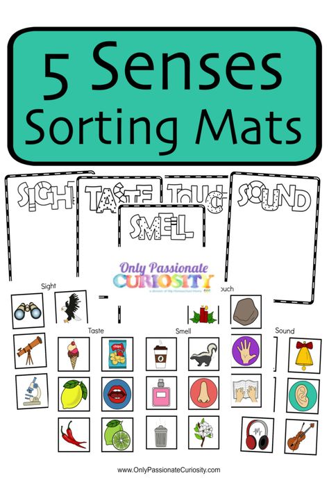 Five Senses Art Preschool, Childcare Themes, Five Senses Kindergarten, 5 Senses Craft, 5 Senses Preschool, Five Senses Worksheet, Five Senses Preschool, 5 Senses Activities, Senses Preschool