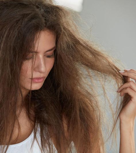 Fried hair is very fragile and prone to breakage. You can repair and restore your fried hair with some simple and easy solutions. Check them out here! Hair Oil For Dry Hair, Fried Hair, Heat Damaged Hair, Moisturize Dry Hair, Dry Shampoo Hairstyles, Best Hair Oil, Dull Hair, Damaged Hair Repair, Hair Problems