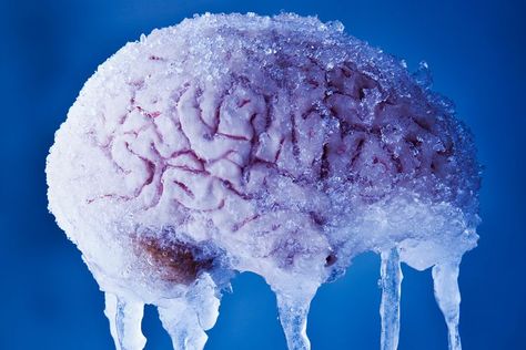 How Brain Freeze and Ice Cream Headaches Work Cold Drinks, Some Amazing Facts, Frozen Art, Brain Freeze, Body Hacks, Have A Good Night, Great Life, Headache, Just In Case