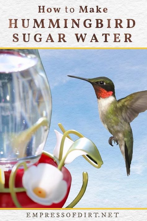 Hummingbird Food Recipe Small Batch, Humming Bird Nectar Recipe, Hummingbird Mixture, Hummingbird Recipe, Hummingbird Feeder Recipe, Hummingbird Mix, Hummingbird Food Recipe, Sugar Water For Hummingbirds, Make Hummingbird Food