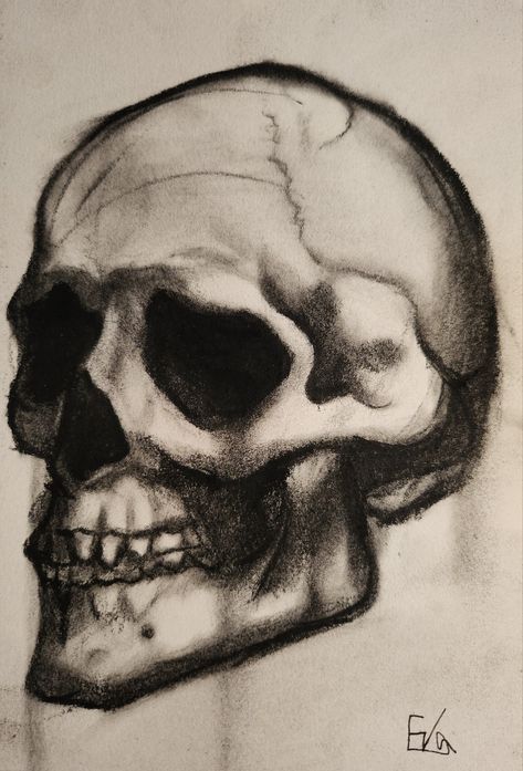 Charcoal Things To Draw With Charcoal Pencils, Simple Graphite Drawings, Cool Charcoal Drawings, Charcoal Drawing Beginner, Coal Drawing Sketches, Art With Charcoal, Messy Charcoal Sketches, Colored Charcoal Drawings, Skull Charcoal Drawing