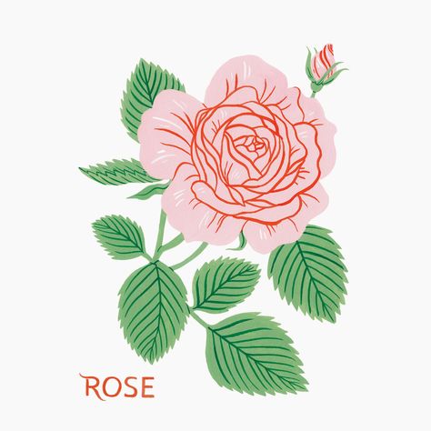 FLORA - Oana Befort's Portfolio Rose Drawing Simple, Rose Reference, Floral Logo Design, Flower Drawing Design, Rose Illustration, Book Illustration Art, Floral Poster, Floral Logo, Illustrated Map