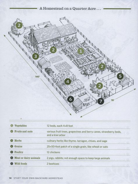 This is a link to a pdf for homestead on 1/2 acre.  Pretty cool idea! Urban Homesteading, Homestead Layout, Acre Homestead, Farm Layout, Homestead Farm, Mini Farm, Living Off The Land, Small Farm, Hobby Farms