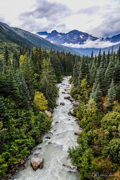 Looking For Alaska, Rock Climbing, Alaskan Malamute Puppies, Skagway Alaska, Matka Natura, Cruise Outfits, Alaska Cruise, Alaska Travel, John Green