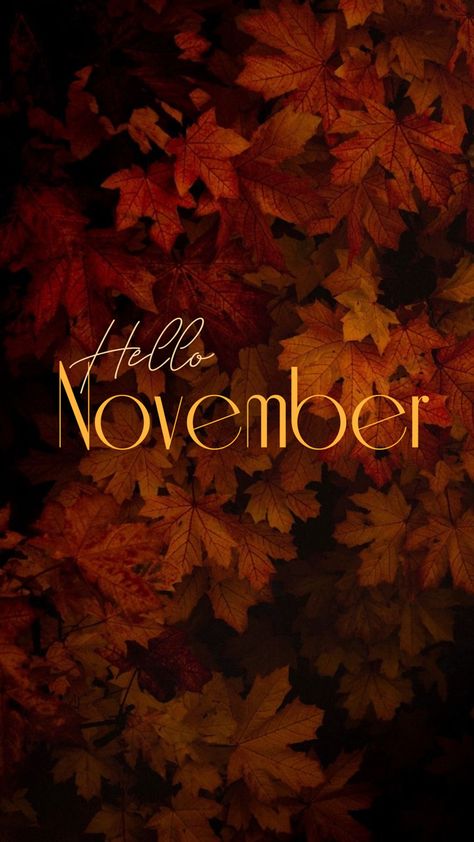 November Wallpapers, Hallo November, November Images, Neuer Monat, September Wallpaper, Background Cover, November Wallpaper, Tea Wallpaper, Happy November