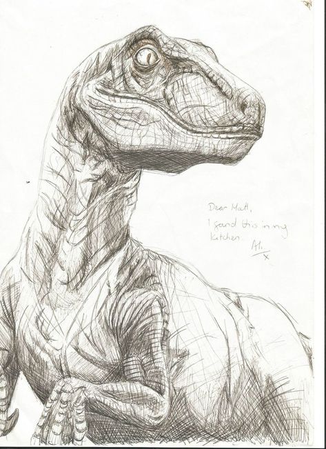 Velociraptor Drawing, Dino Drawing, Prehistoric Animals Dinosaurs, Dinosaur Sketch, Stick Drawings, Batman Drawing, Cats Art Drawing, Pencil Drawings Of Animals, Dinosaur Drawing