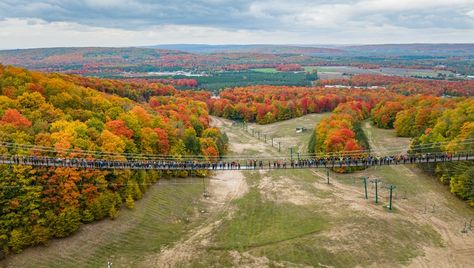 SkyBridge Michigan: Pedestrian bridge at Boyne Mountains opens with picture-perfect fall background Skybridge Michigan, Boyne Mountain Resort, Boyne Mountain, Canadian Lakes, How To Walk, Fall Background, Michigan Travel, Pedestrian Bridge, Suspension Bridge