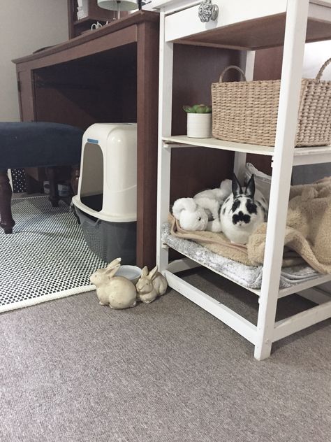 Cage free bunny... bunnies love to have a space all their own especially if it's an enclosed "safe space" mimicking a natural warren... for GiGi a two tiered shelf she enjoys as her bed. Bath mat and baby blanket for cushion/comfort Rabbit Free Roam, Bunny Free Roam, Free Roam Bunny, Bunny Litter Box, Bunny Space, Bunny Care Tips, Bunny Bed, Bunny Things, Rabbit Enclosure